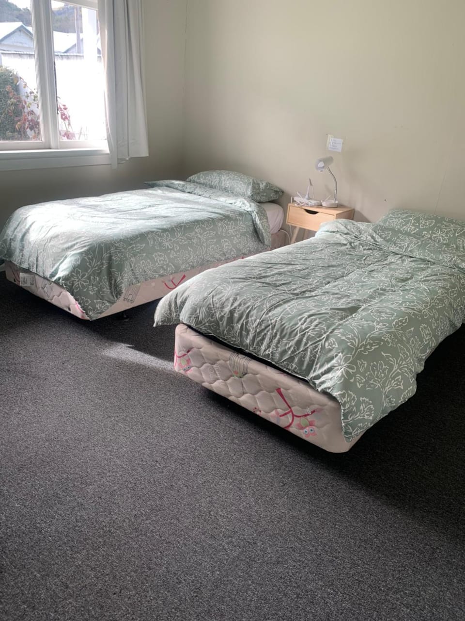 Economical accommodation Vacation rental in Dunedin