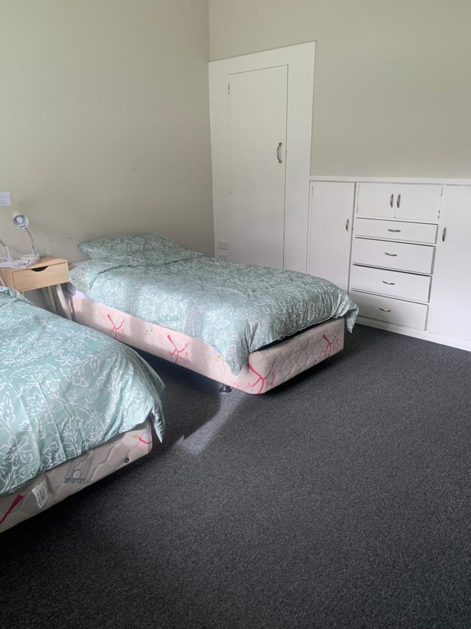 Economical accommodation Vacation rental in Dunedin