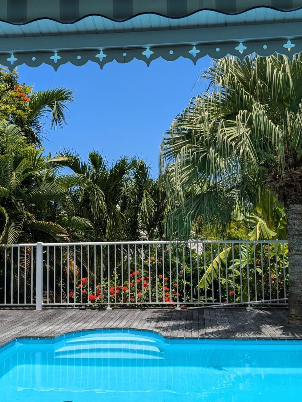Day, Garden, Garden view