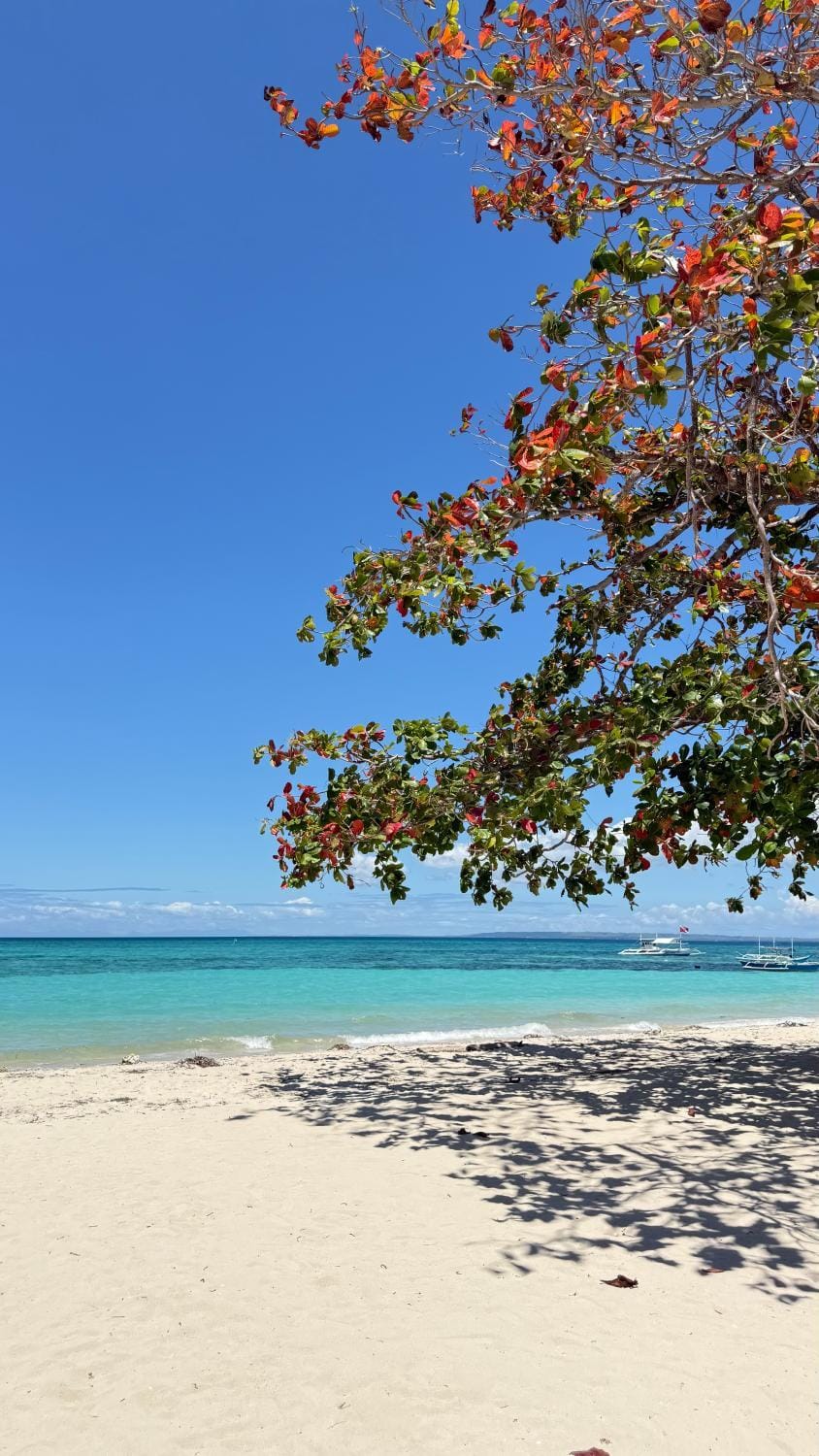 Natural landscape, Beach, Sea view