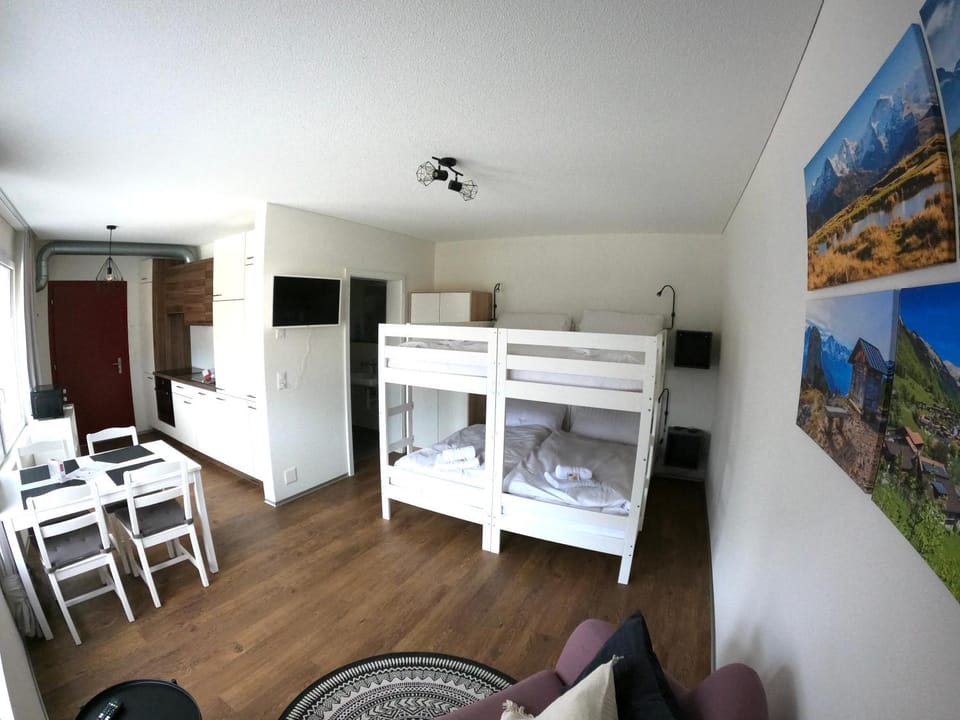 Red Nest Apartment in Interlaken