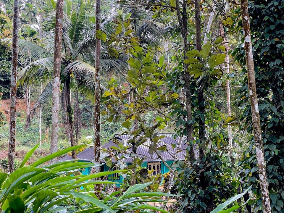 Property building, Garden, View (from property/room), Garden view