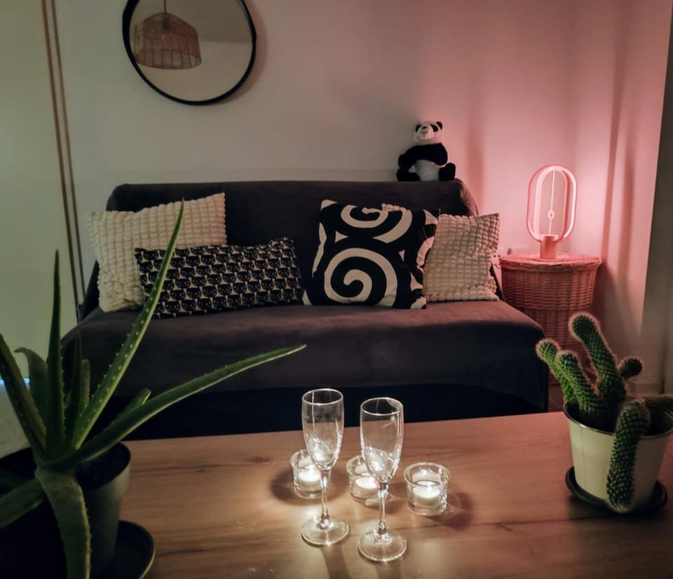 Le Salluste cosy T2 with balcony in Strasbourg Apartment in Eckbolsheim