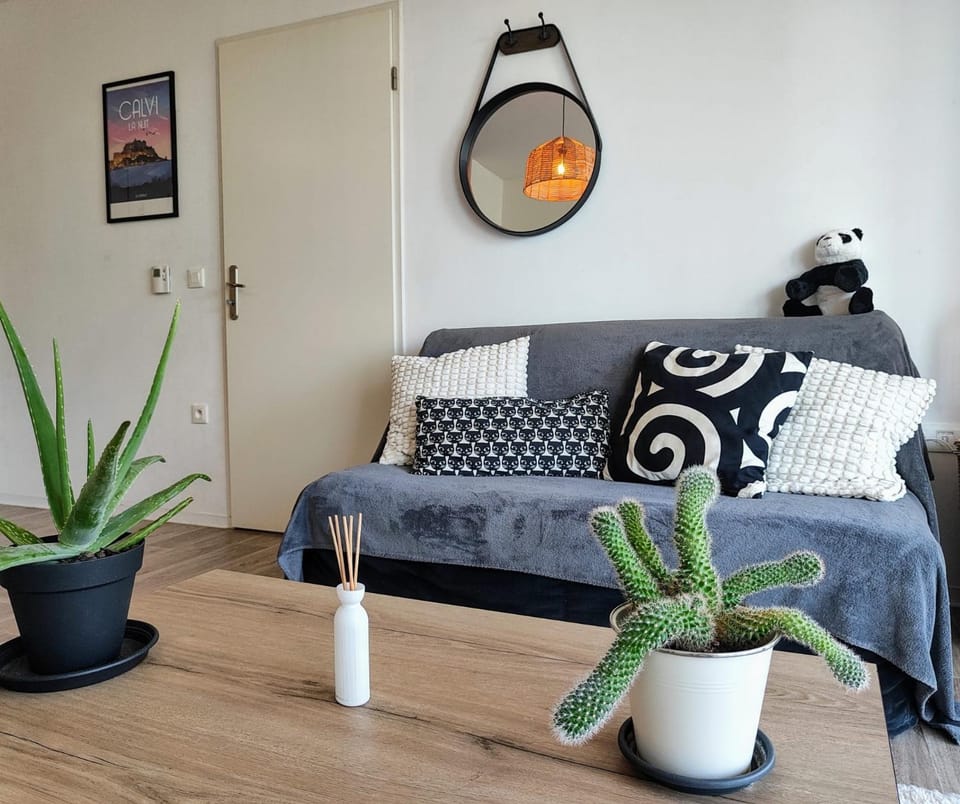 Le Salluste cosy T2 with balcony in Strasbourg Apartment in Eckbolsheim