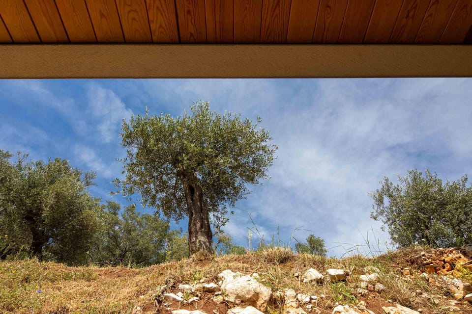 Day, Natural landscape