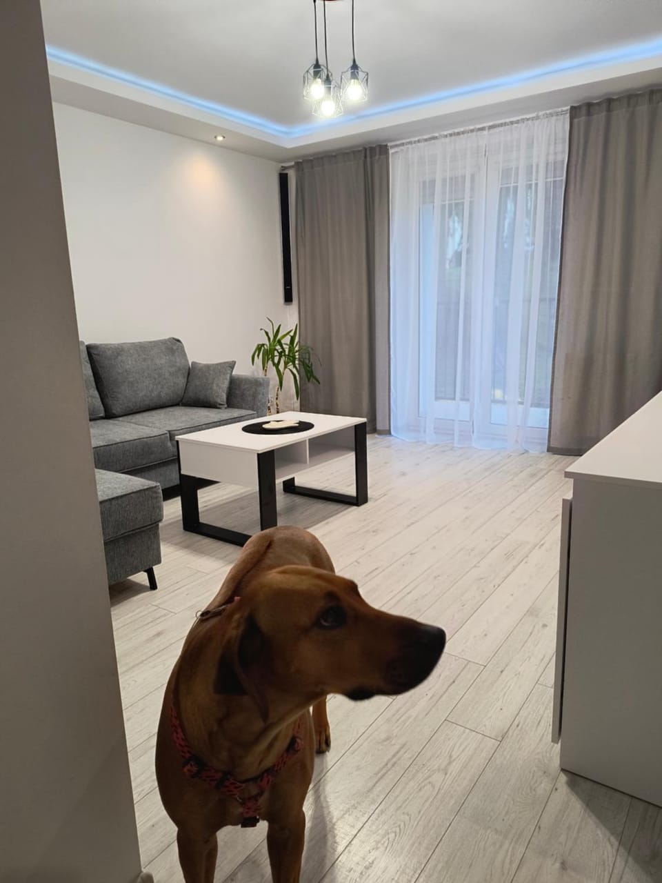 APARTAMENT Przy Rynku Apartment in Slovakia