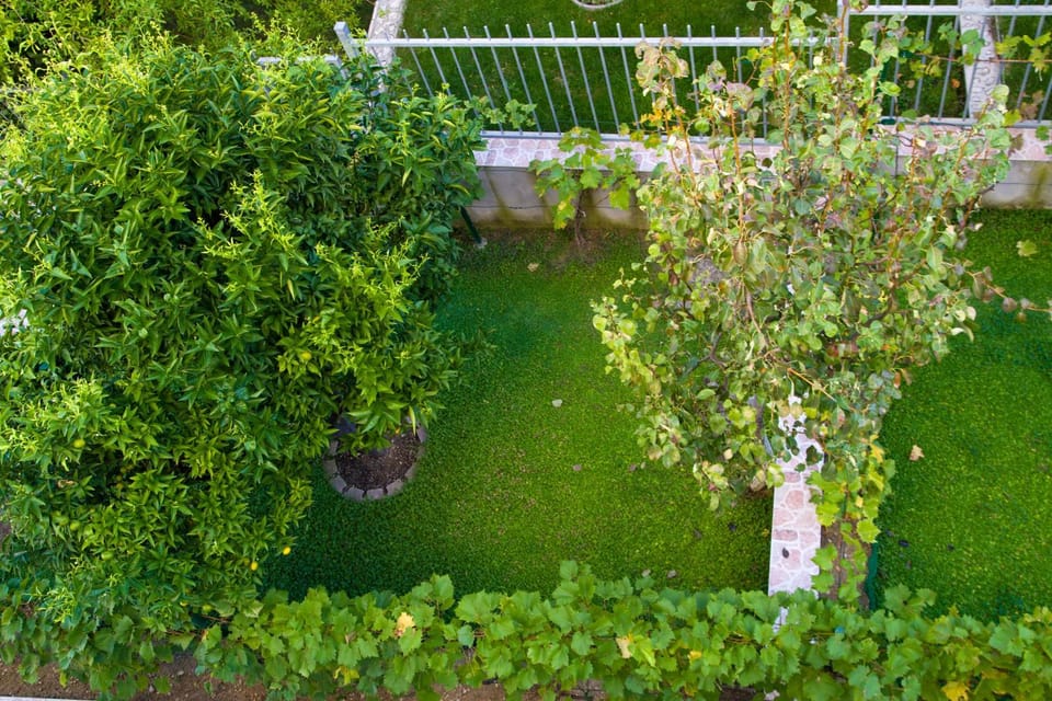 Garden, Garden view