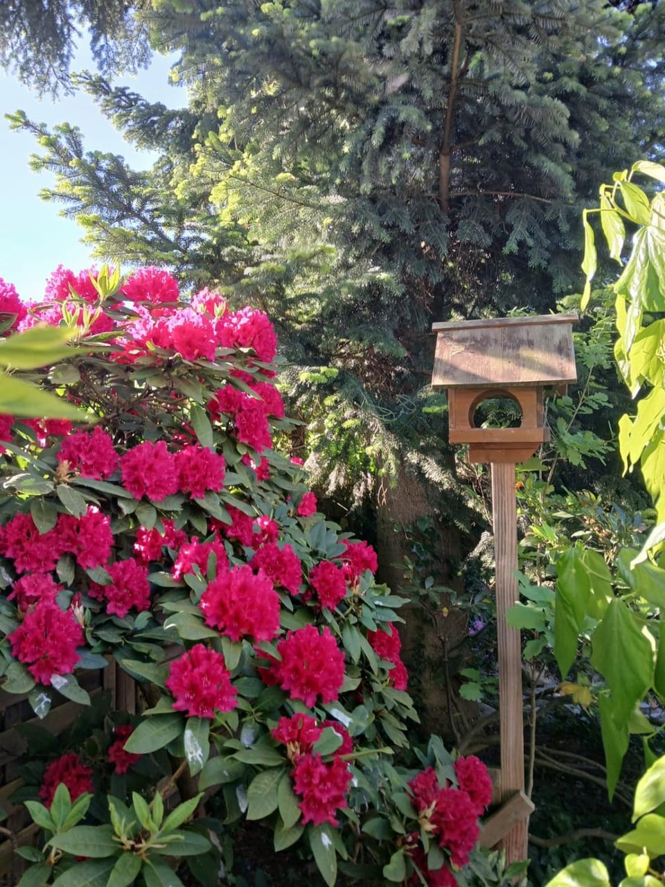 Garden, Garden view
