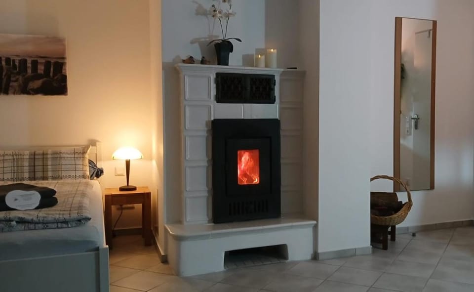 fireplace, oven