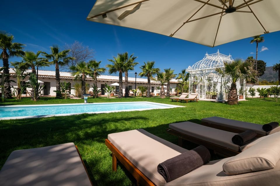 Garden, Swimming pool, sunbed