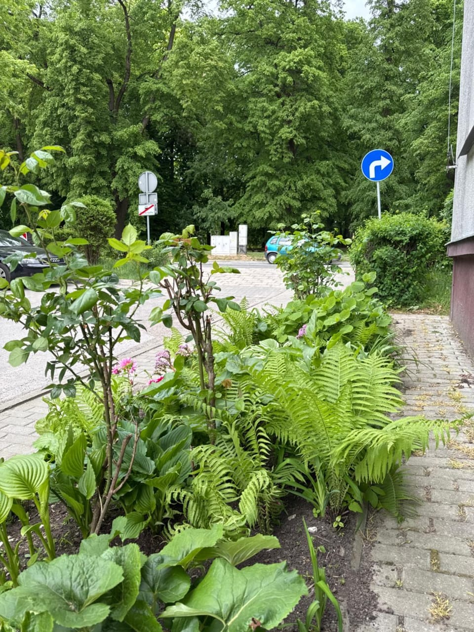 Neighbourhood