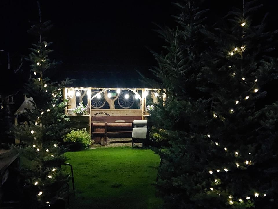 Night, Garden, Garden view