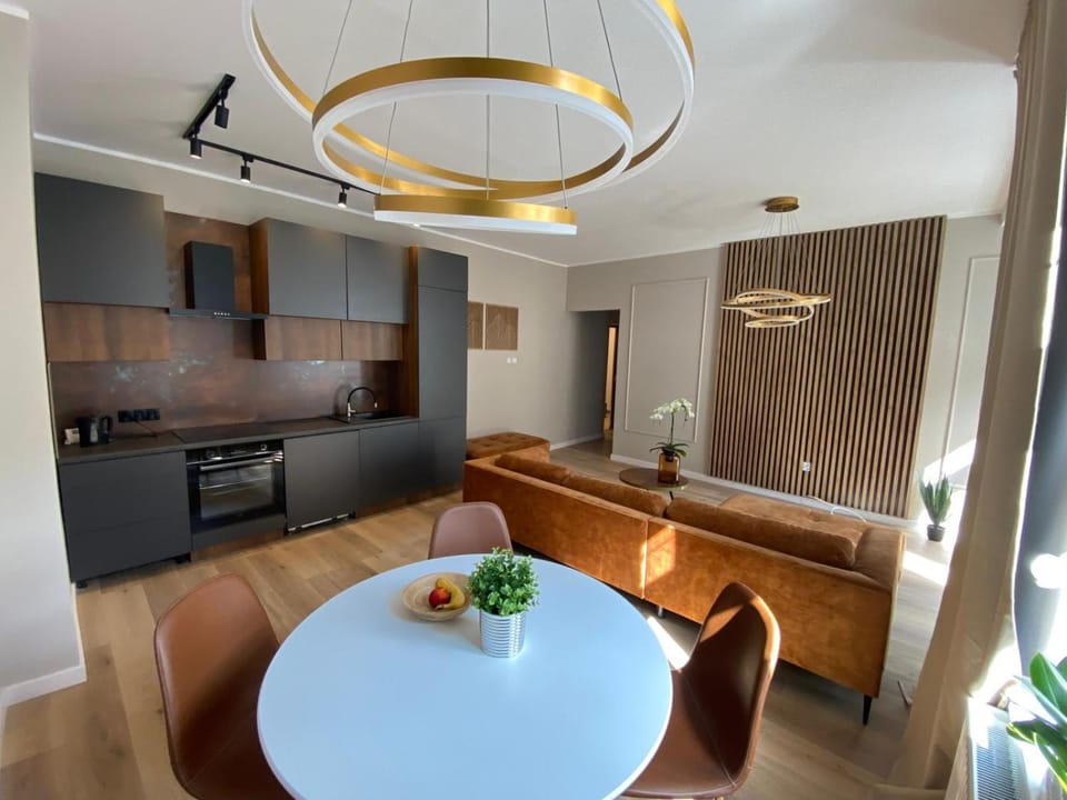 Kitchen or kitchenette, Living room, Seating area, Dining area, stove