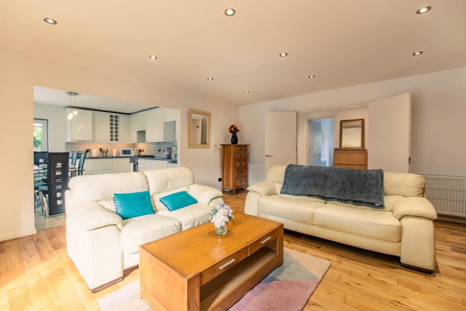 Living room, kitchen
