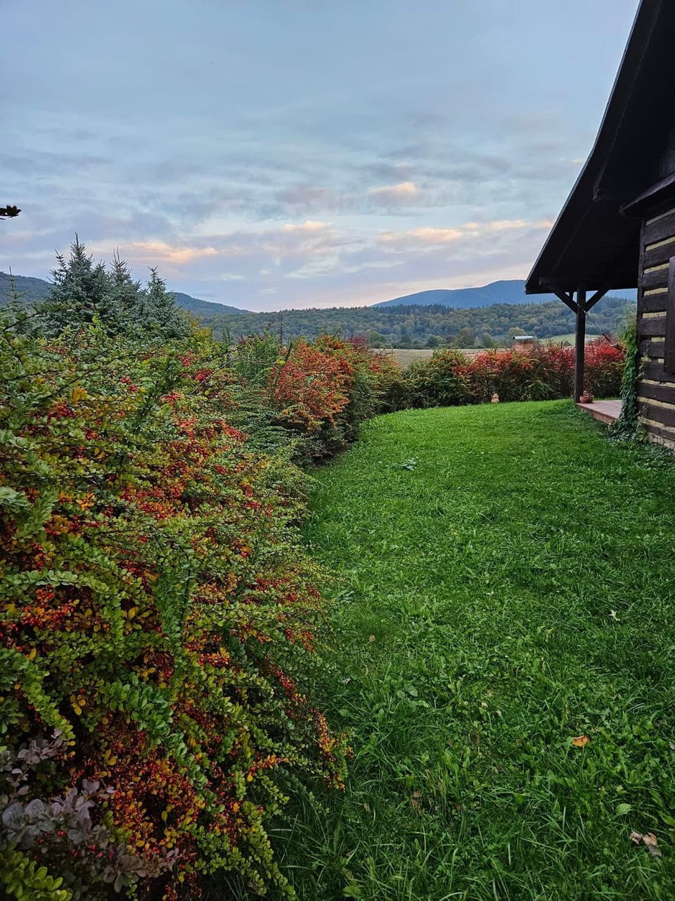 Mountain view