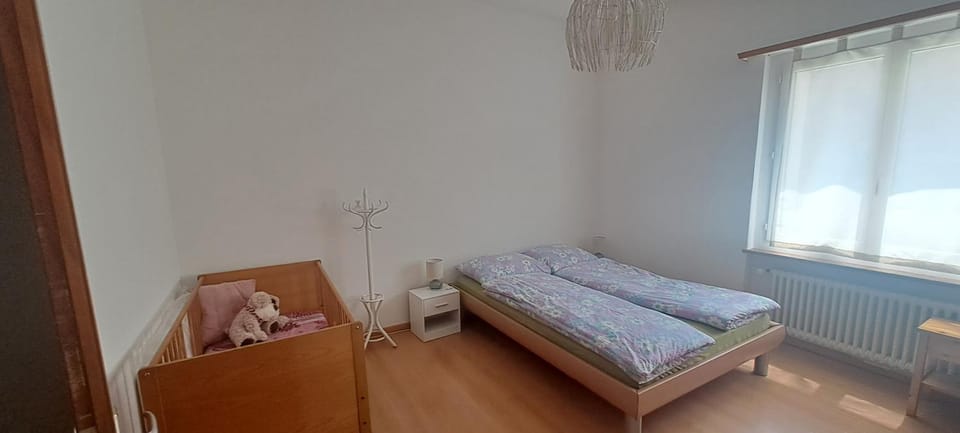 Casa con giardino in centro Apartment in Canton of Ticino