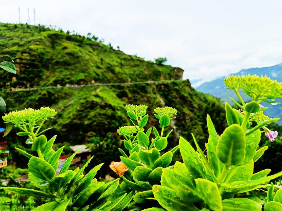 Aastik guest House Farm Stay in Himachal Pradesh