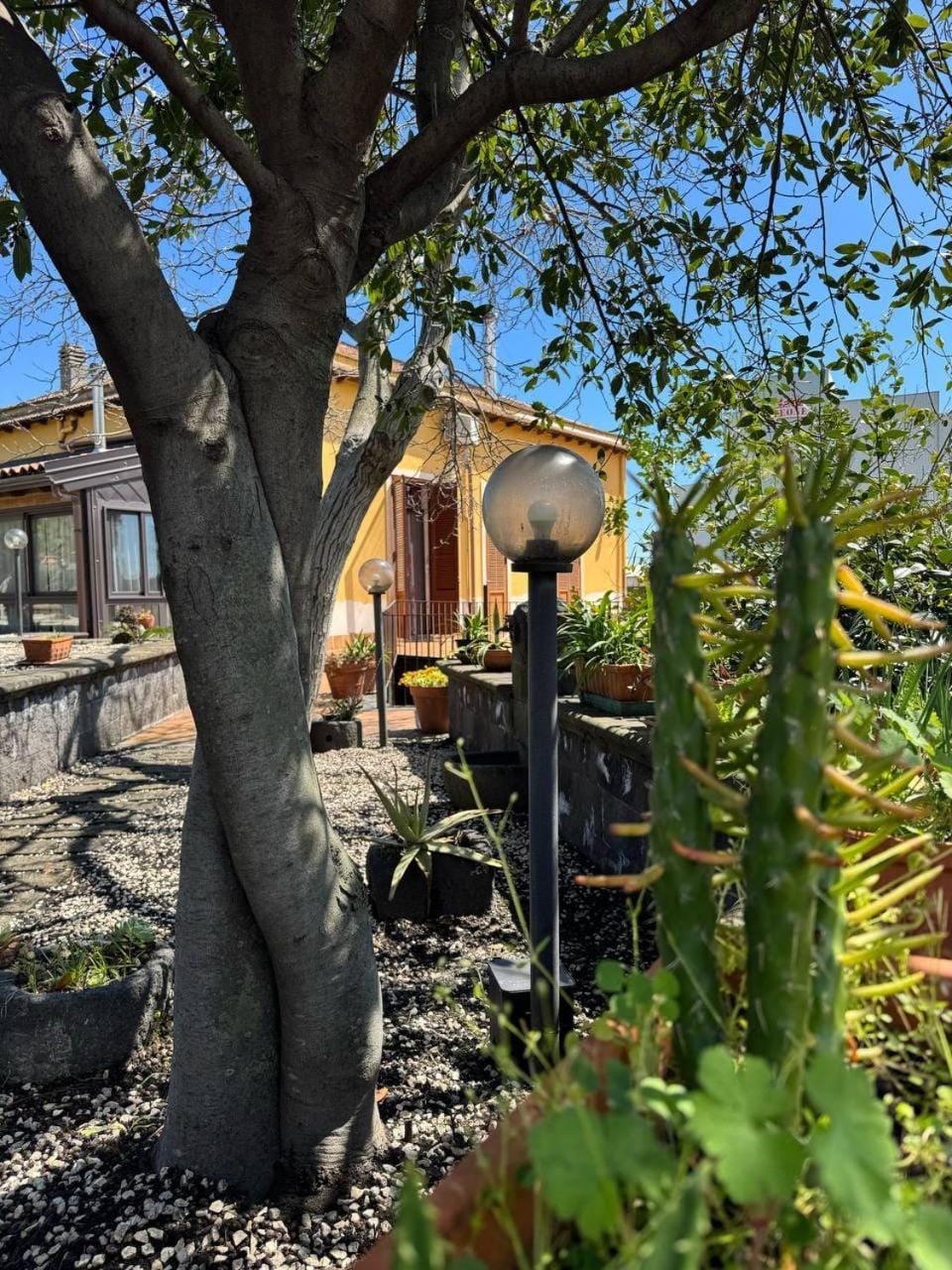 Property building, Garden