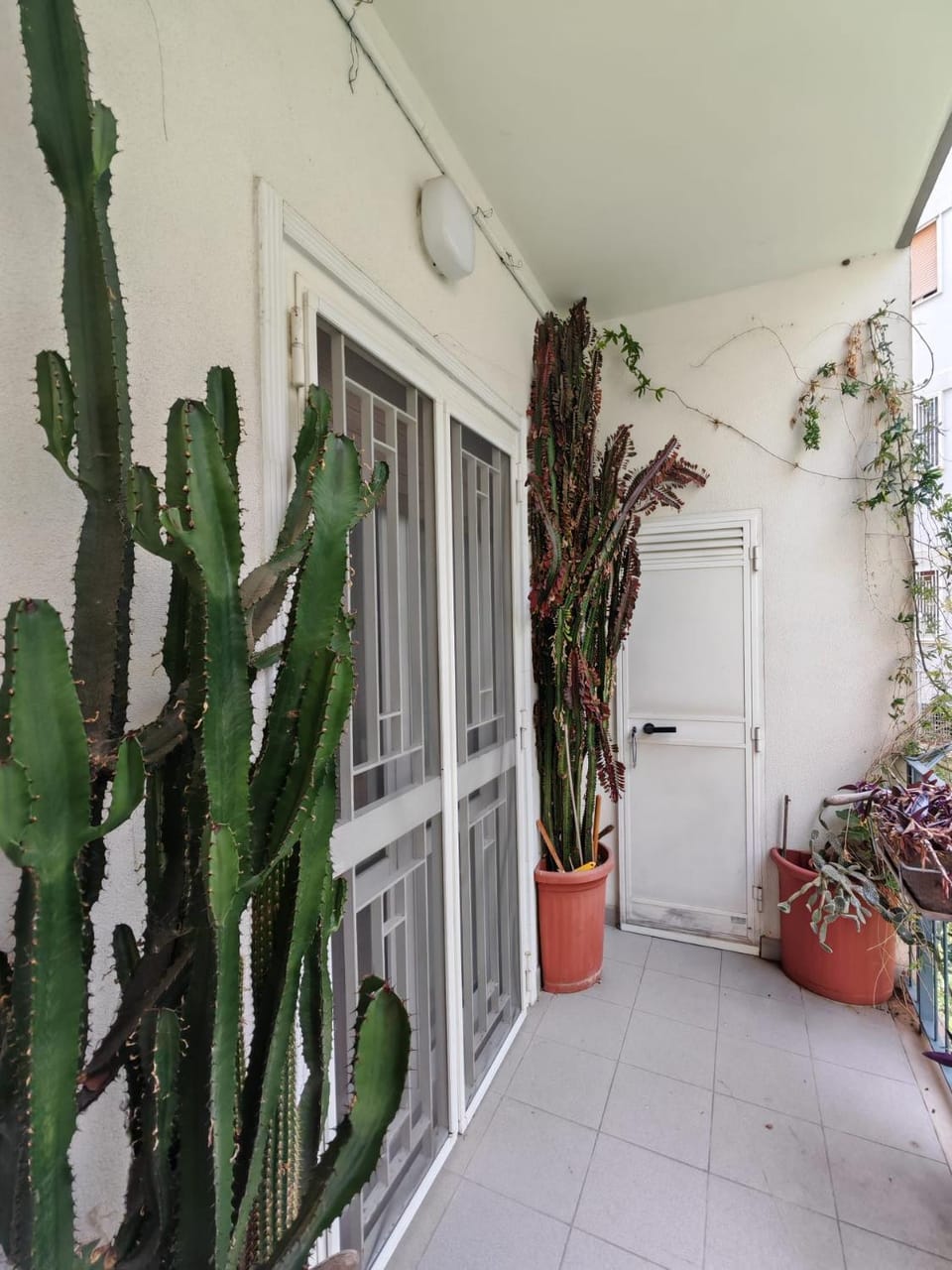 Mandragora #11 HOWME Apartment in Bari