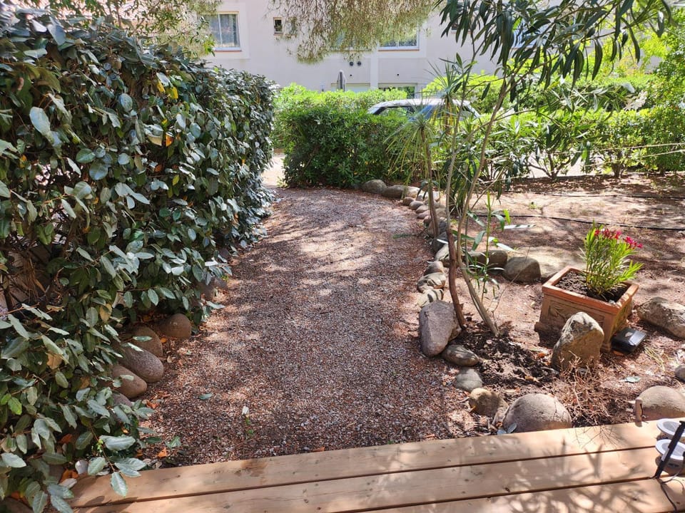 Garden view