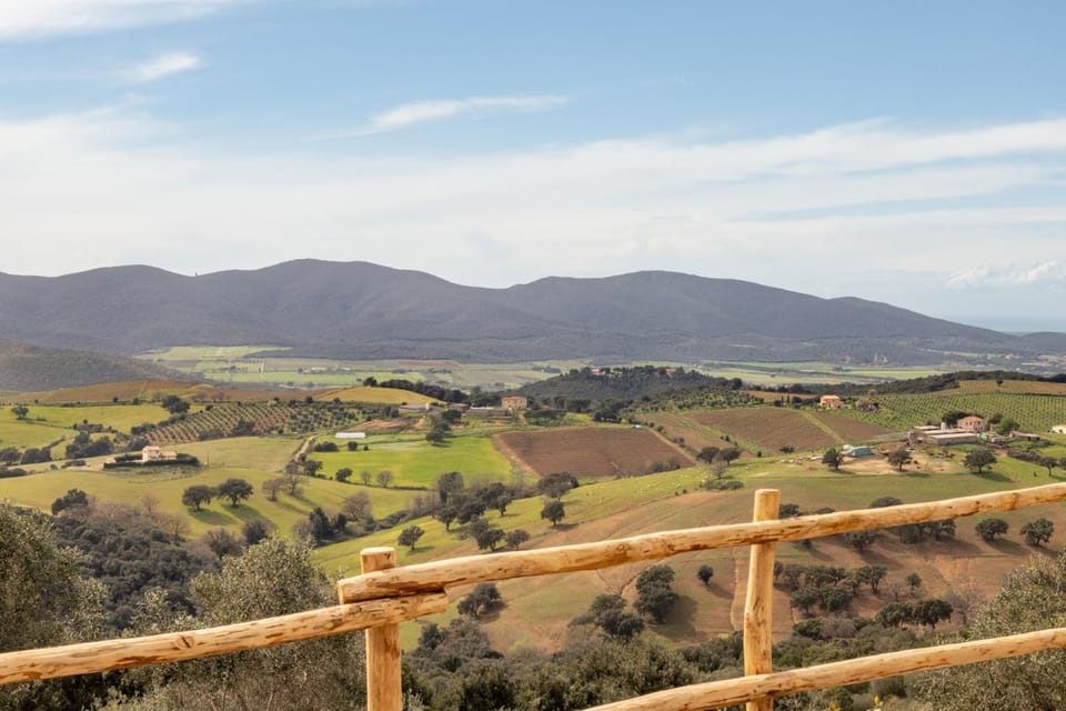 Spring, Day, Natural landscape