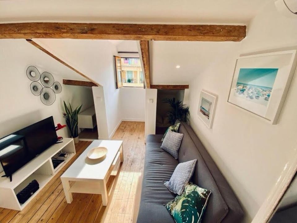 Guisol 17 Attic cocon Port de Nice Apartment in Nice