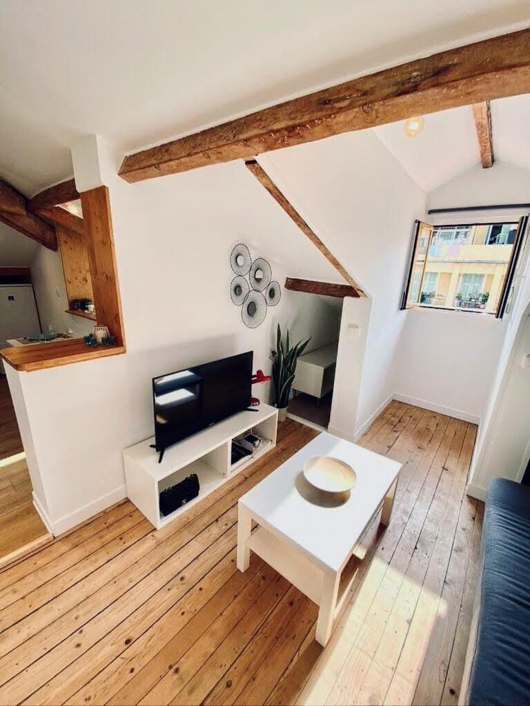 Guisol 17 Attic cocon Port de Nice Apartment in Nice