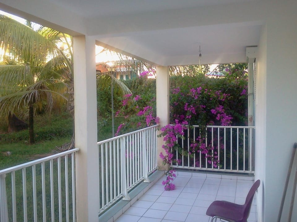 Patio, Day, Garden, Balcony/Terrace, Garden view