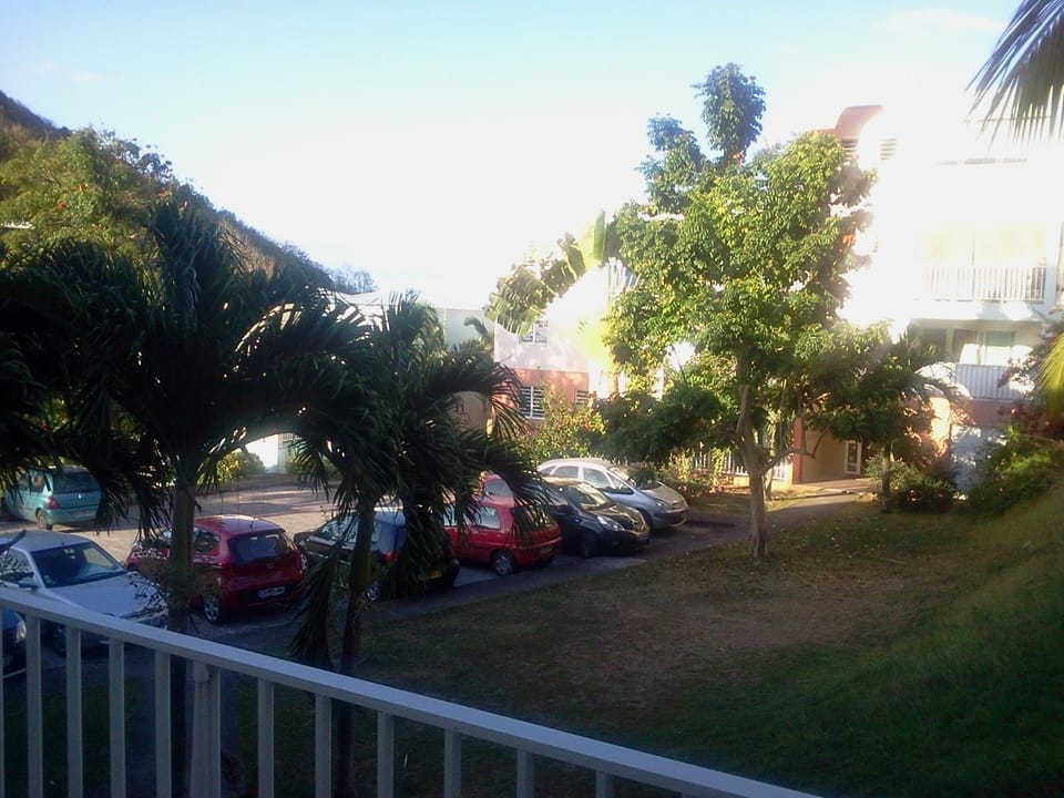 Day, Natural landscape, Garden, Garden view, Parking