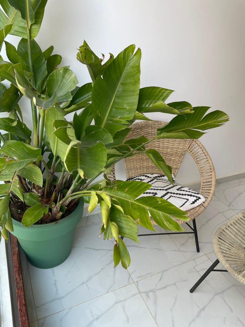 Vaccation house Apartment in Rabat-Salé-Kénitra