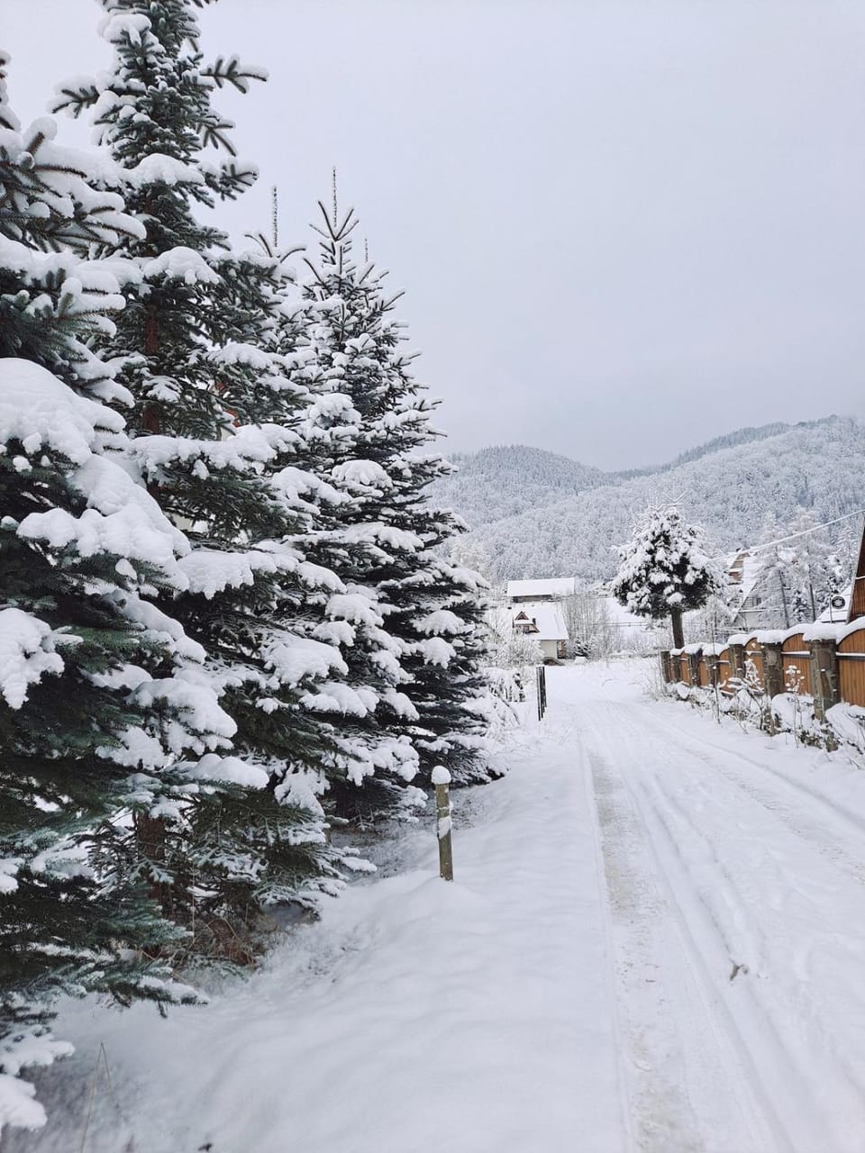 Day, Natural landscape, Winter, Mountain view
