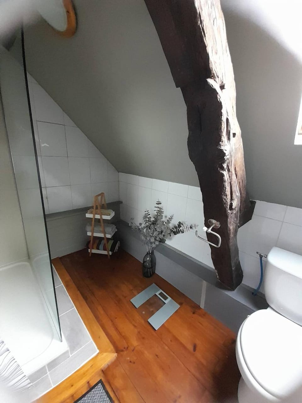 Shower, Toilet, Bathroom