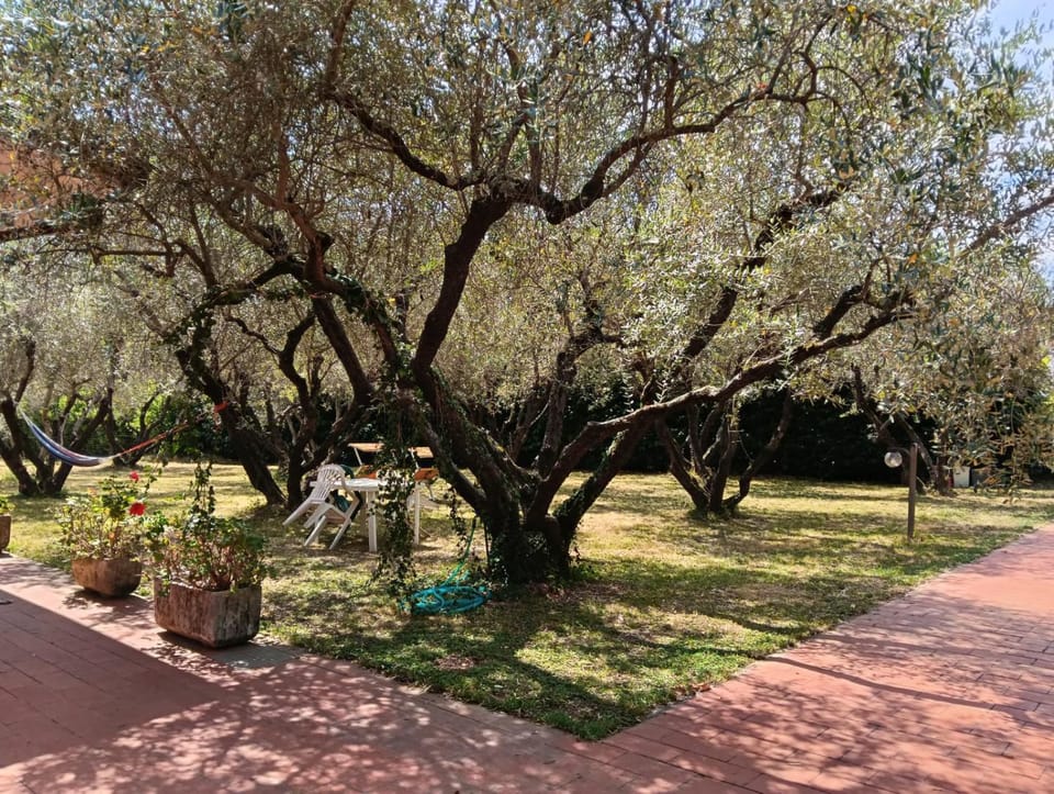 Villa Appartment parking with garden near the sea Apartment in Sarzana