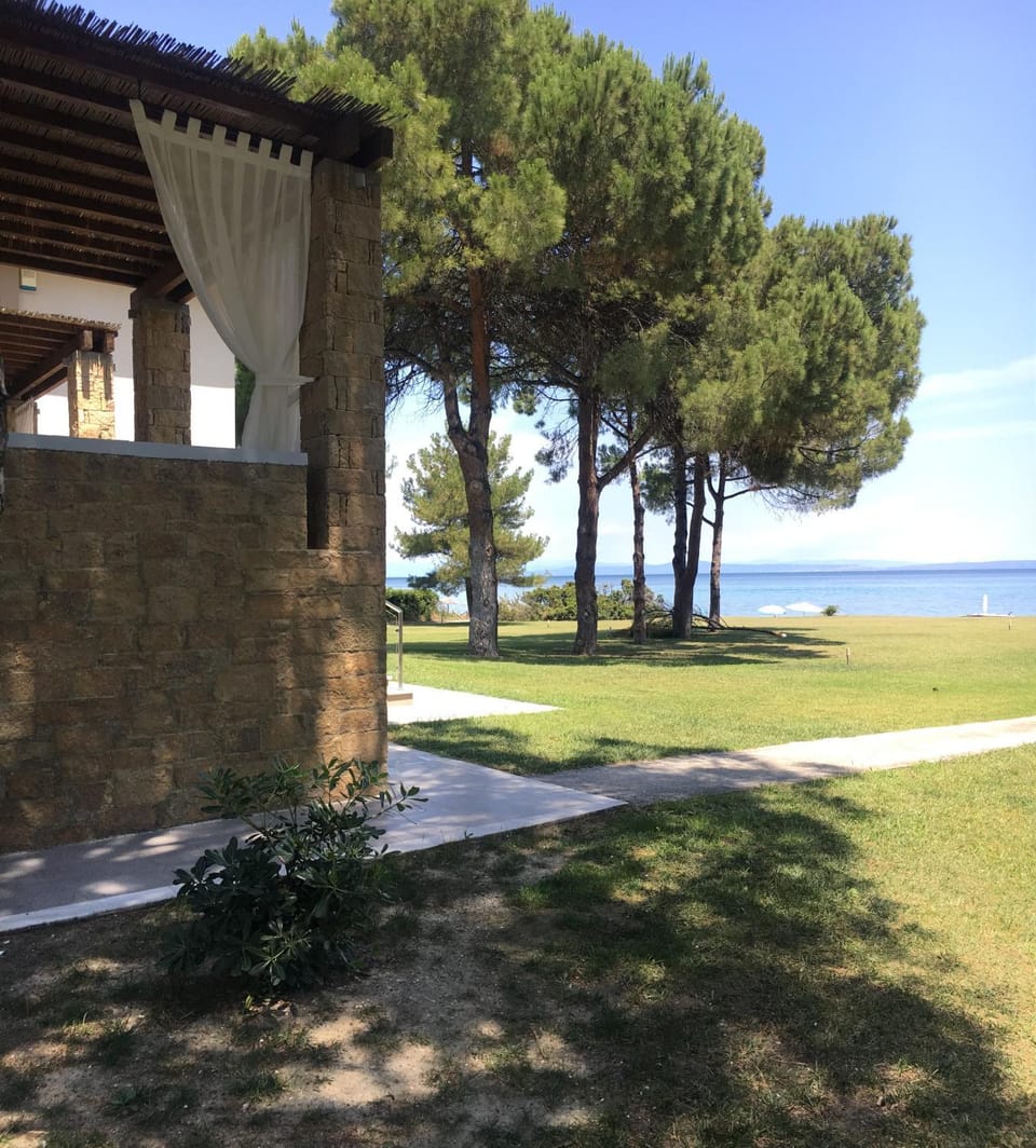 Garden view