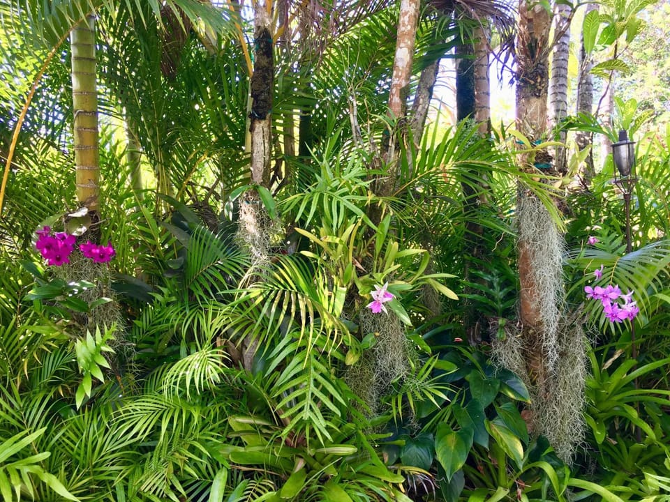 Hanalei Bay View House in Princeville
