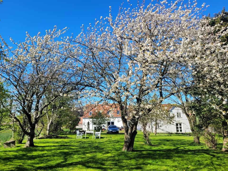 Garden, Garden view