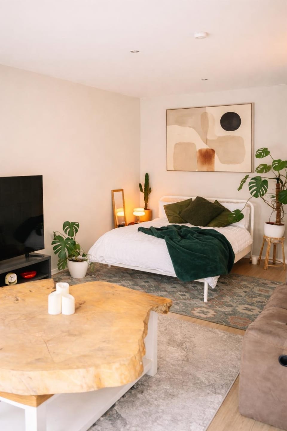 Photo of the whole room