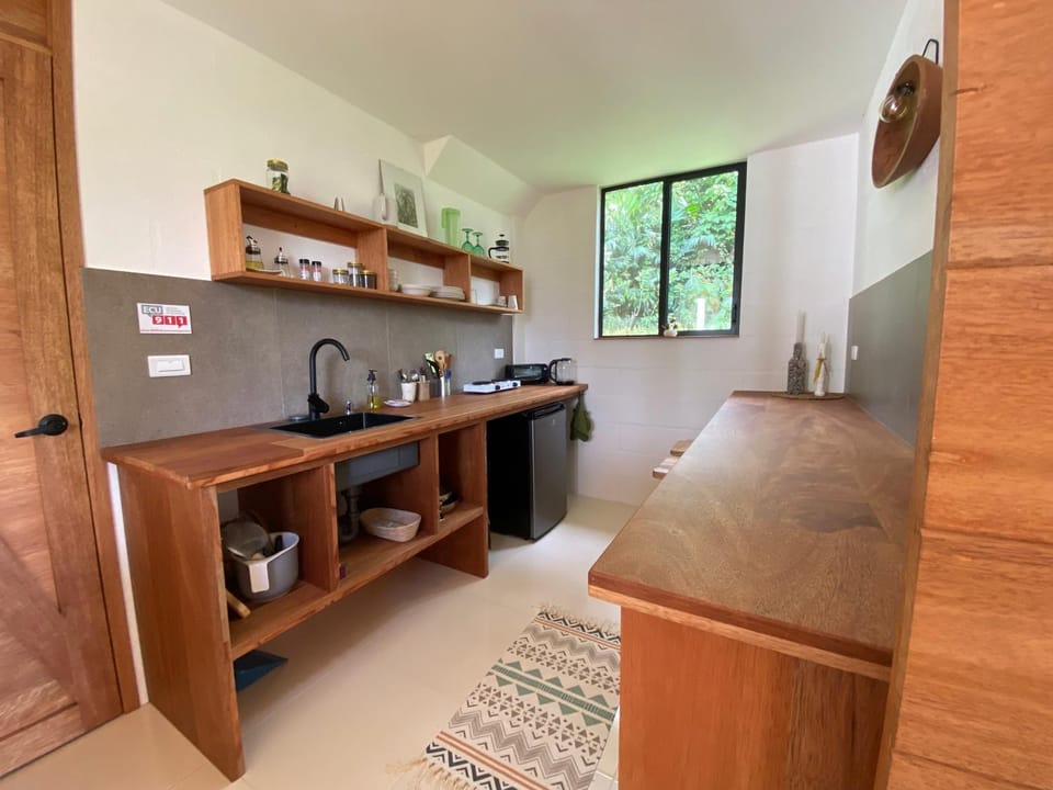 Kitchen or kitchenette, kitchen