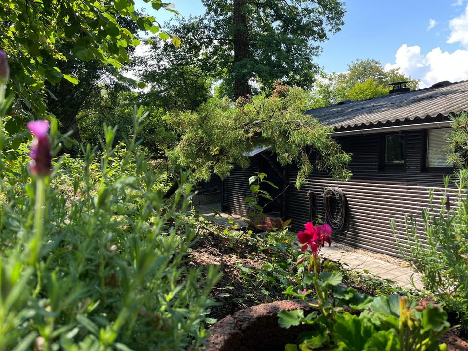 Garden, Balcony/Terrace