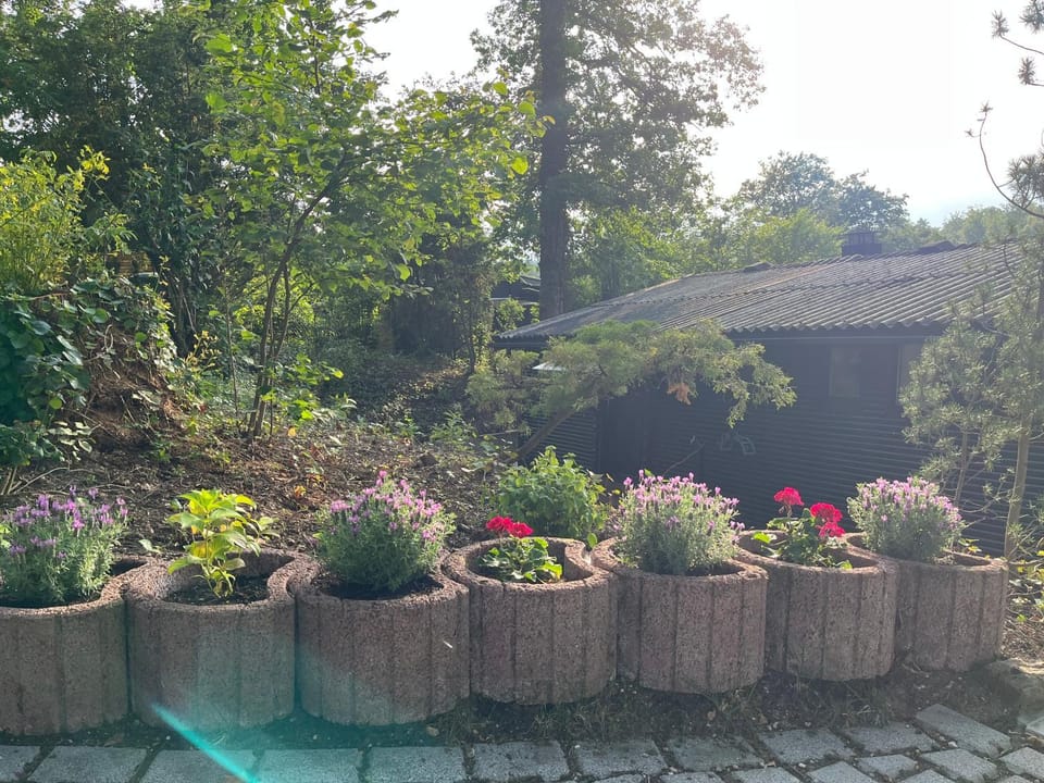 Garden, Balcony/Terrace