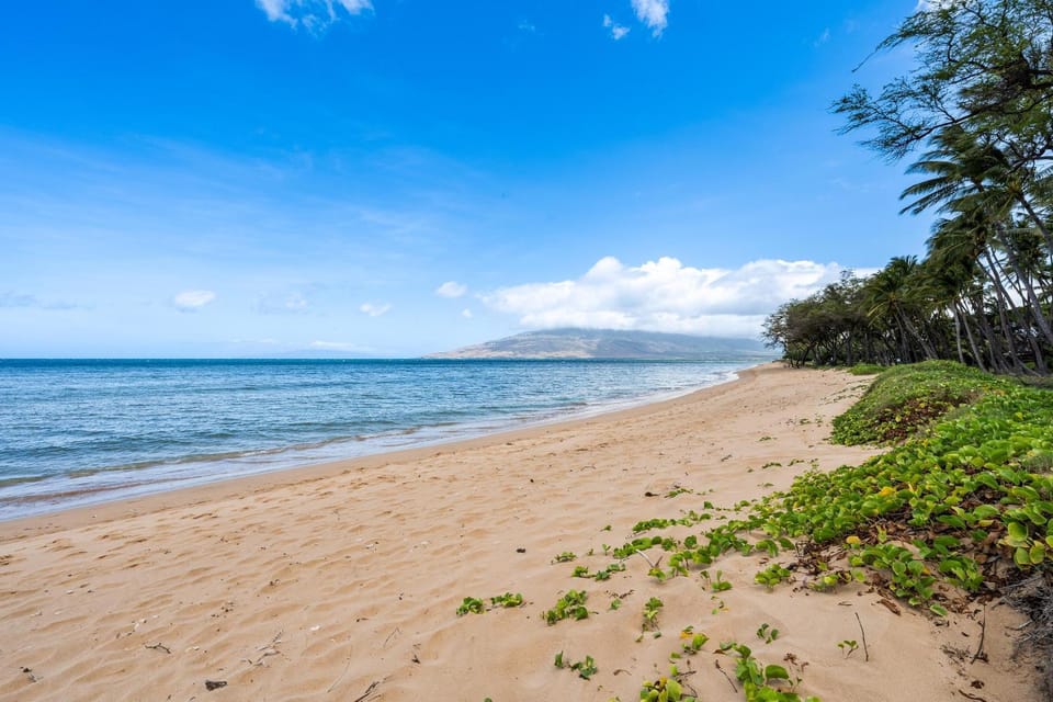 Kihei Gardens F 202 House in Kihei
