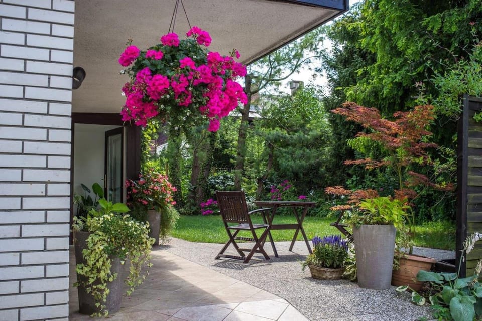 Day, Garden, Garden view