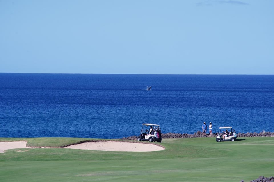 Halii Kai 9G House in Waikoloa Village