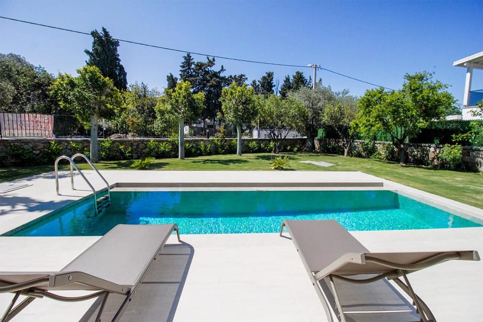 Garden, Pool view, Swimming pool, sunbed