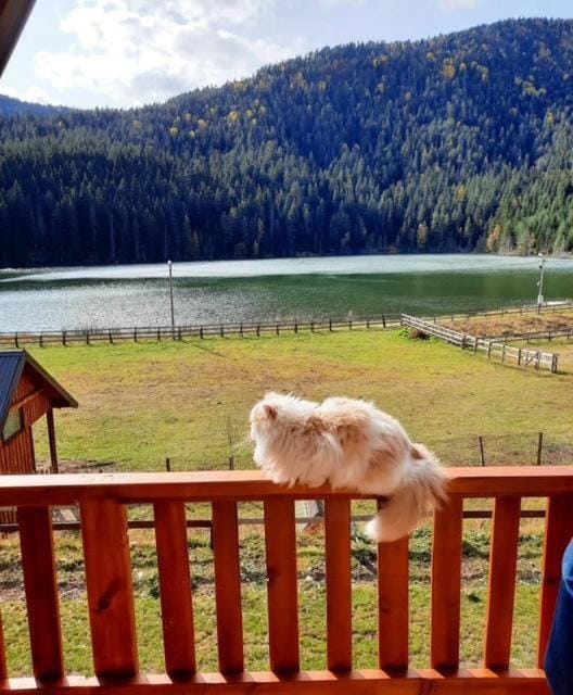 Etno katun Zminica Chalet in Zlatibor District, Serbia