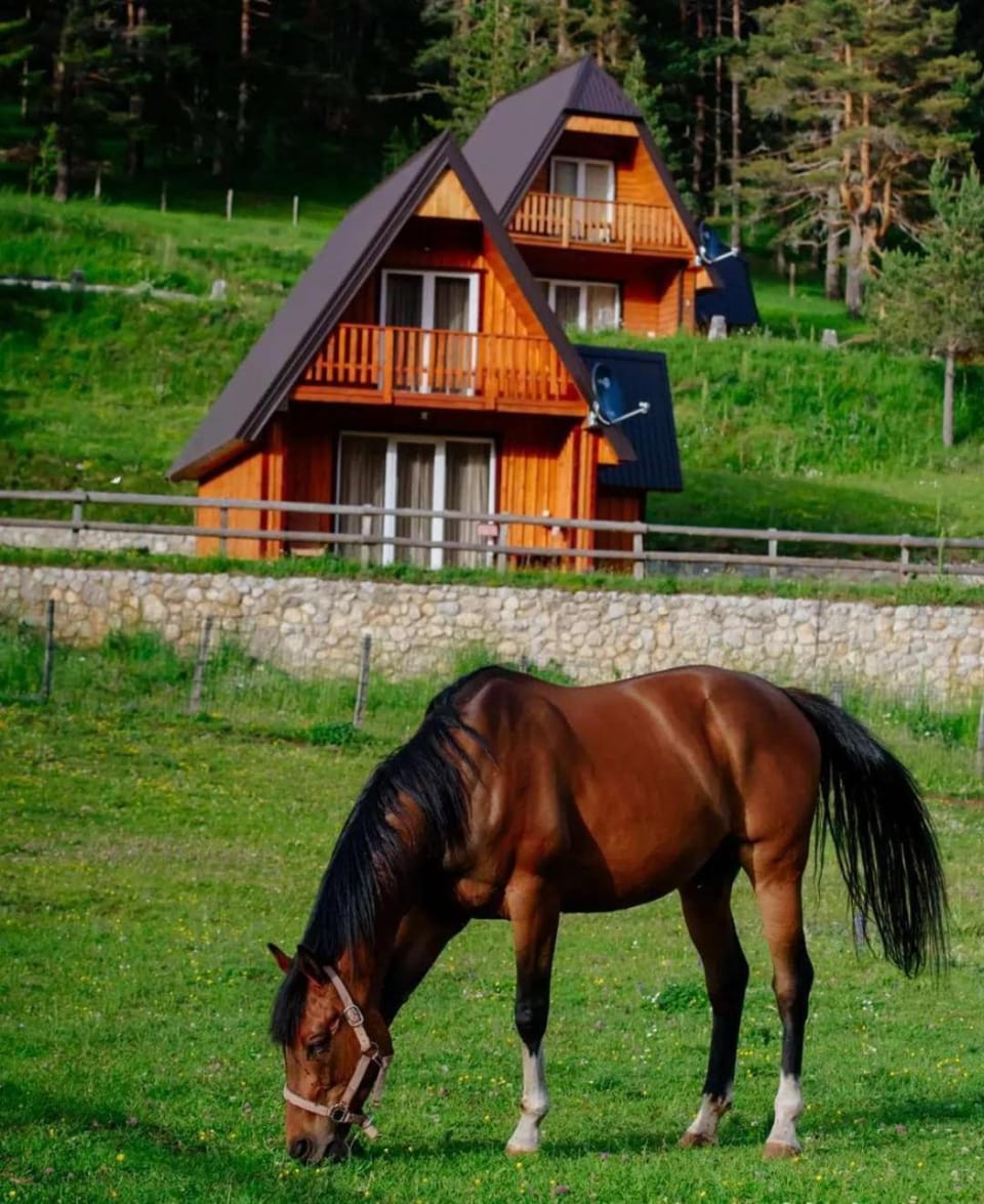 Property building, Natural landscape