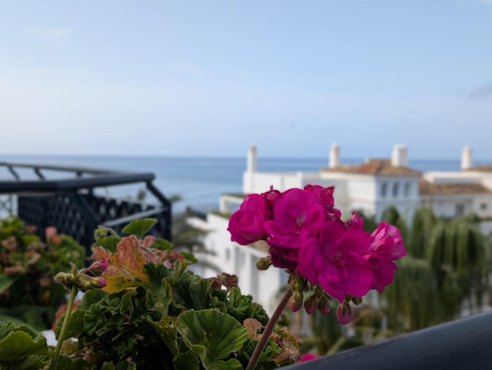 Beautiful first line Penthouse with Sea View Mi Capricho Apartment in Sitio de Calahonda