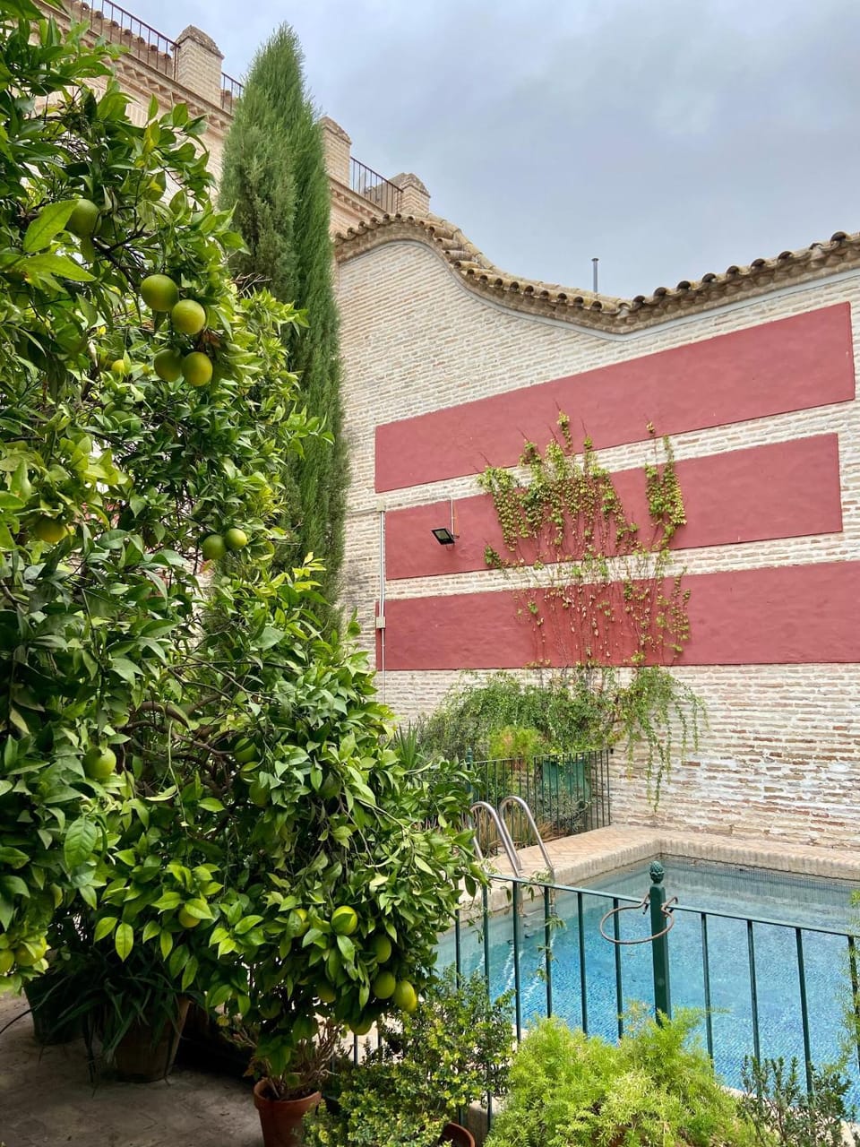 Garden, Garden view, Pool view, Swimming pool