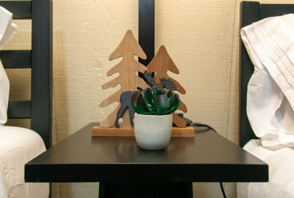Hidden Cabin - Adventure Awaits! Cabin in Gainesville