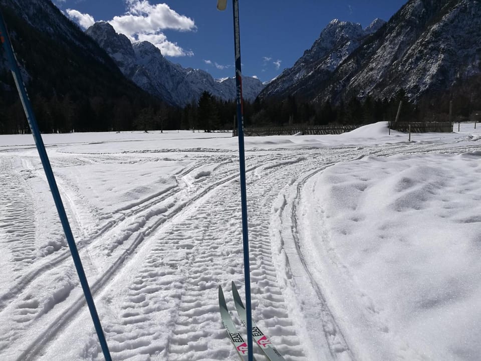 Day, Activities, Winter, Sports